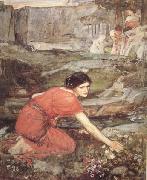 Study:Maiidens picking Flowers by a Stream (mk41) John William Waterhouse